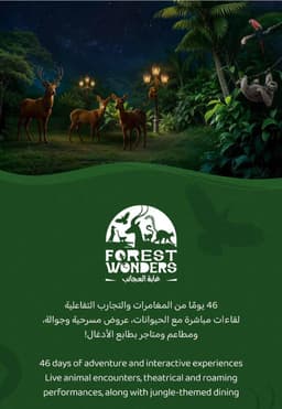 Forest of Wonder